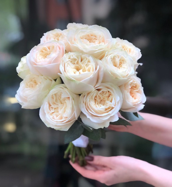 png/flowers/flower_67c71493474c13.53271565.jpg
