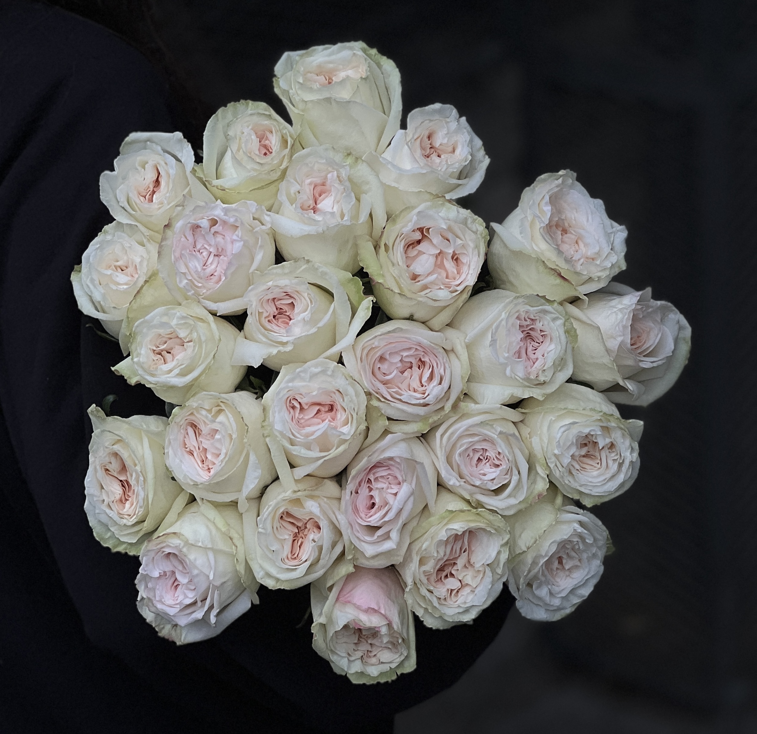 png/flowers/flower_67c71b2483af56.41964863.jpg